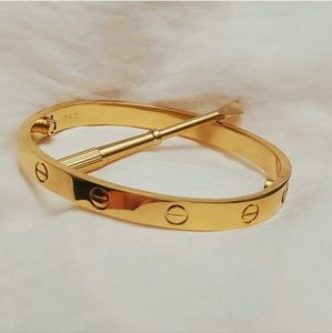 Screw bangle love bangle 18k gold plated